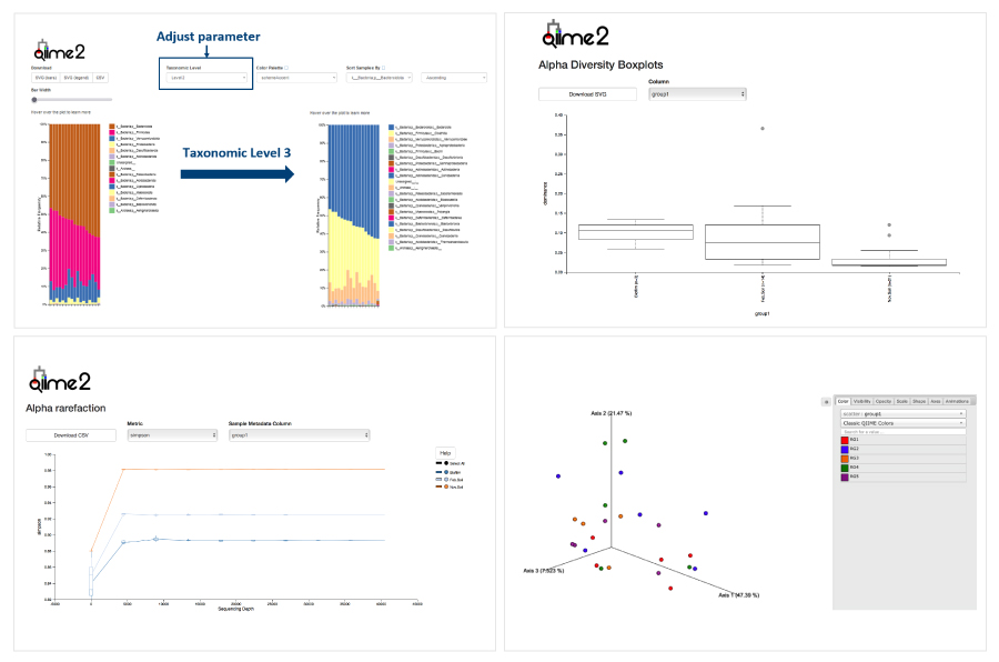 5 Key Features Of Qiime 2 For Your Microbiome Analysis